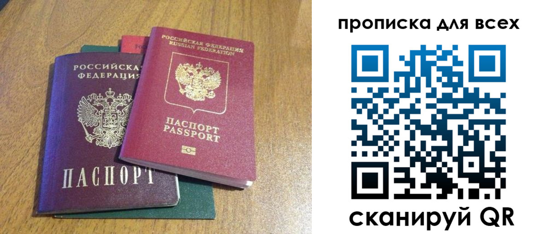 прописка гарантия в Сафоново
